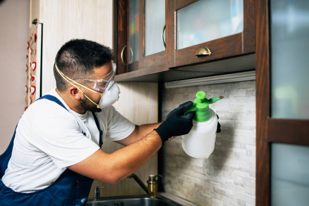 Best Wildlife Control Services  in Abingdon, IL