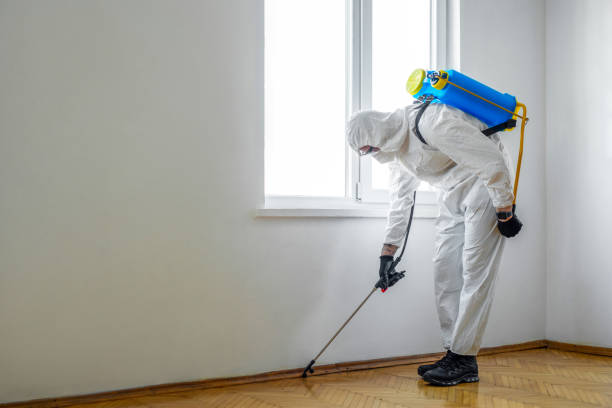 Best Affordable Pest Control Services  in Abingdon, IL