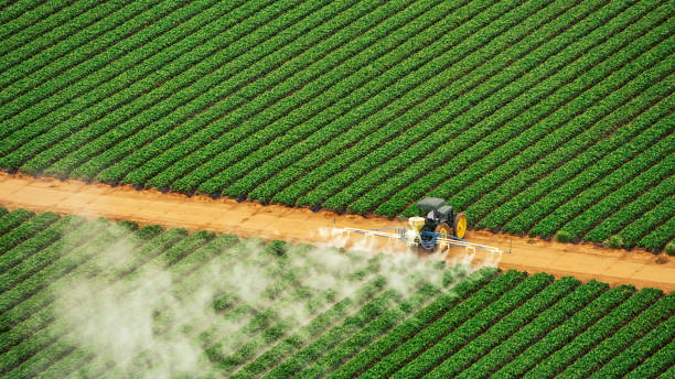 Best Pest Inspection Near Me  in Abingdon, IL