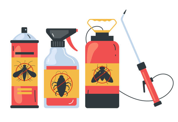 Wasp Removal Services in Abingdon, IL