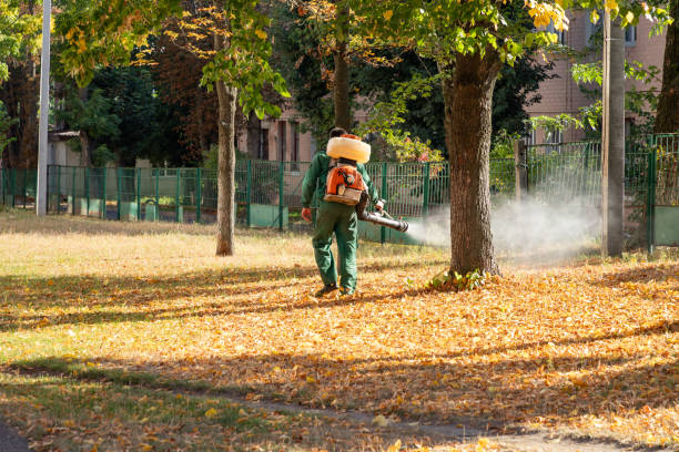 Reliable Abingdon, IL Pest Control Solutions