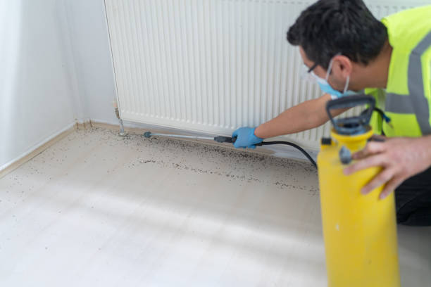 Best Bed Bug Extermination  in Abingdon, IL