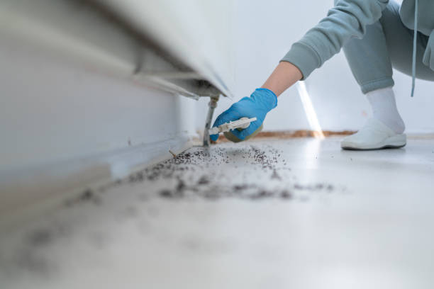 Best Pest Prevention Services  in Abingdon, IL